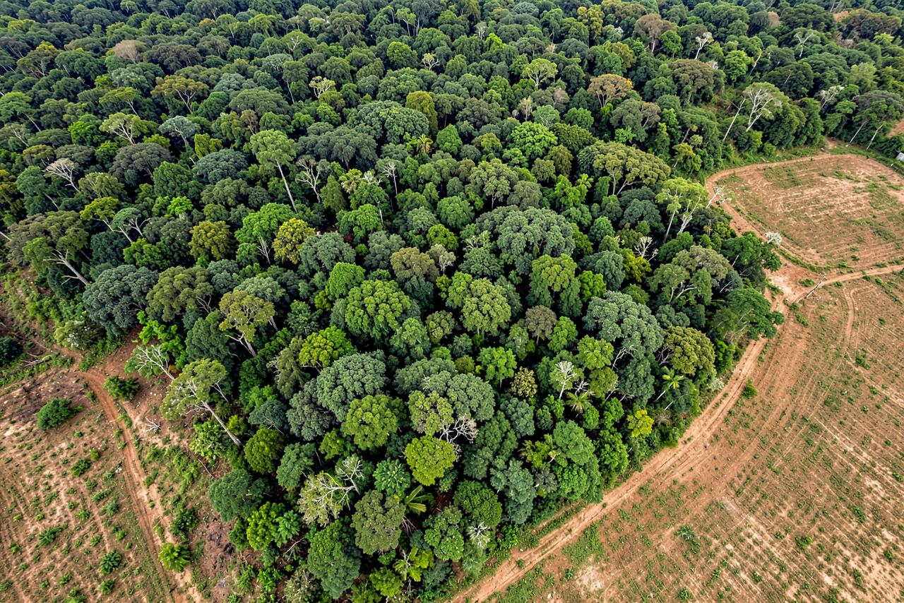 Vista aérea de reserva legal de mata nativa ao lado de área agrícola